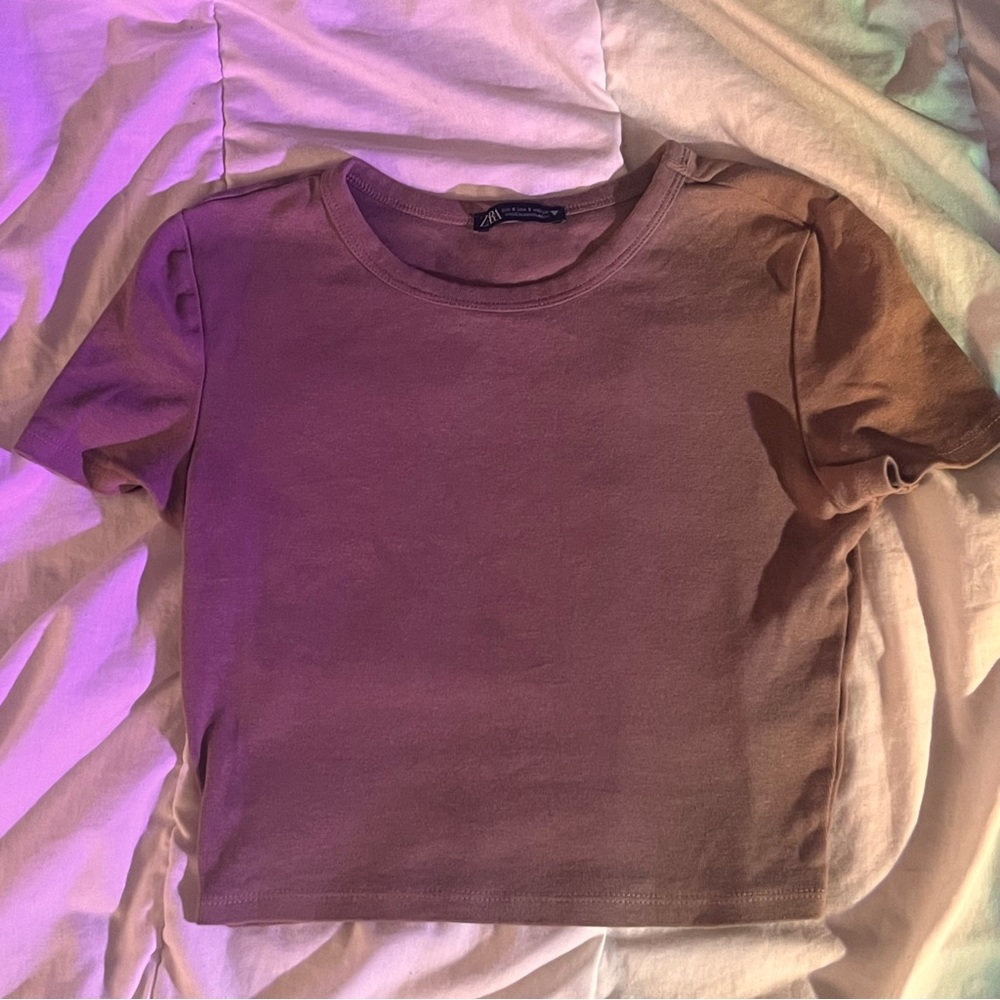 Zara Brown cropped stretched tee shirt size small